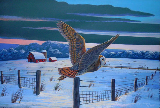 Barn owl Print titled " Postal Worker" 11 x 14 DougWalpusArtStudio