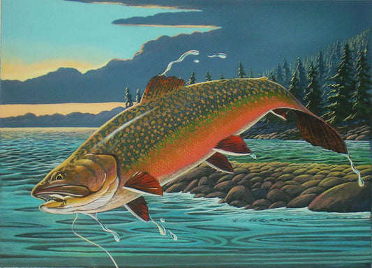 Brook Trout Print "Daybreak Brookie" DougWalpusArtStudio