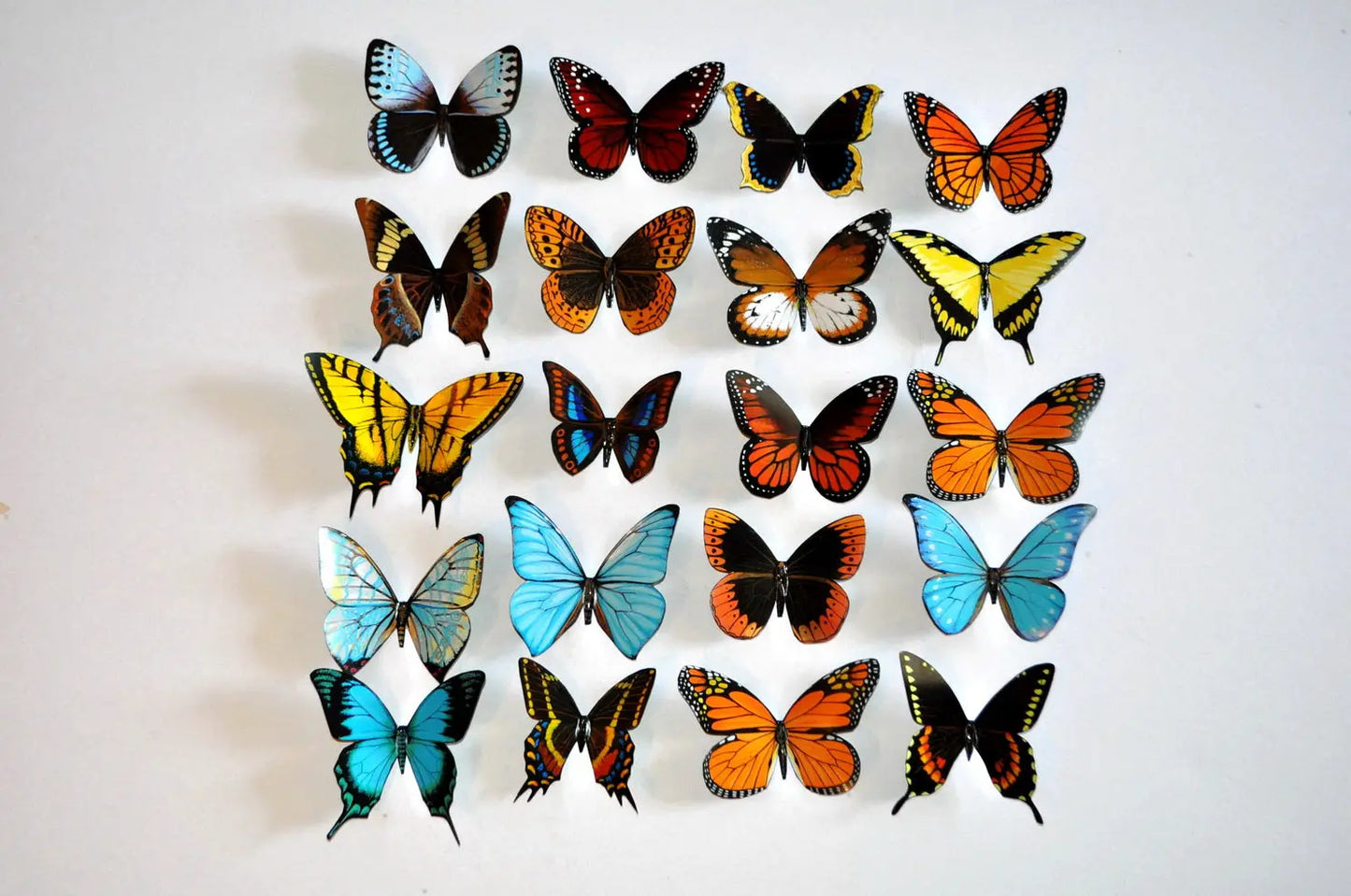 Butterfly Magnets, Refrigerator Magnets DougWalpusArtStudio