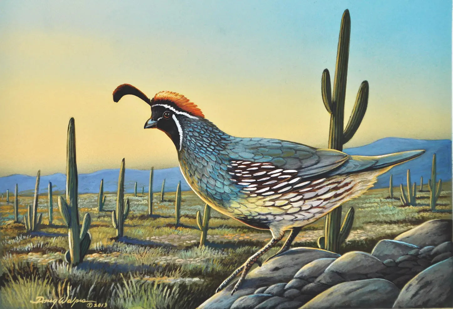 California Quail Print Upland Game Bird DougWalpusArtStudio