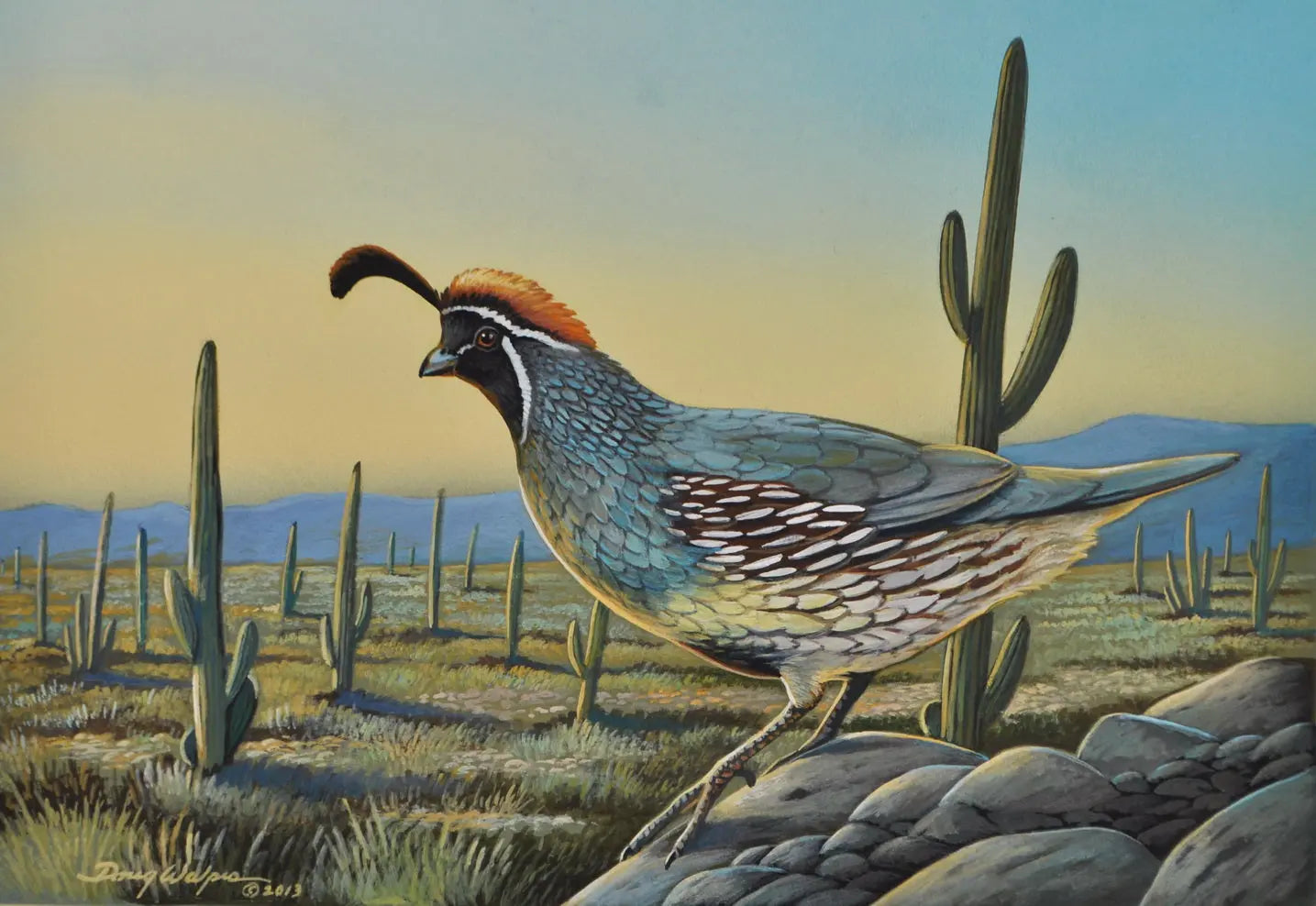 California Quail Print Upland Game Bird DougWalpusArtStudio