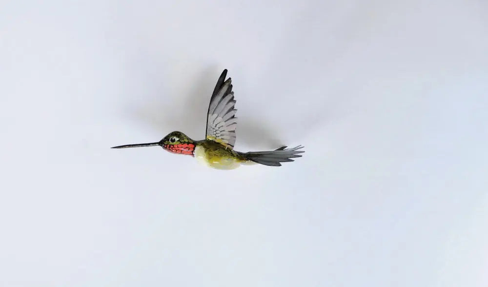Hummingbird Magnet DougWalpusArtStudio