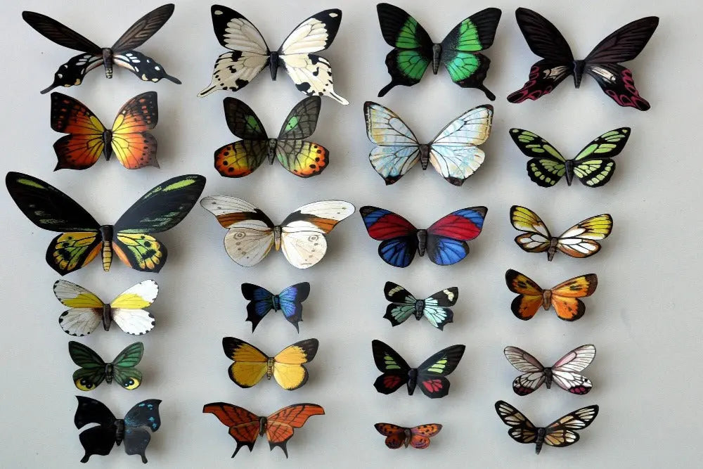 Butterfly Magnets DougWalpusArtStudio