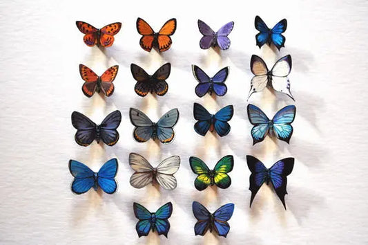 Butterfly Magnets DougWalpusArtStudio