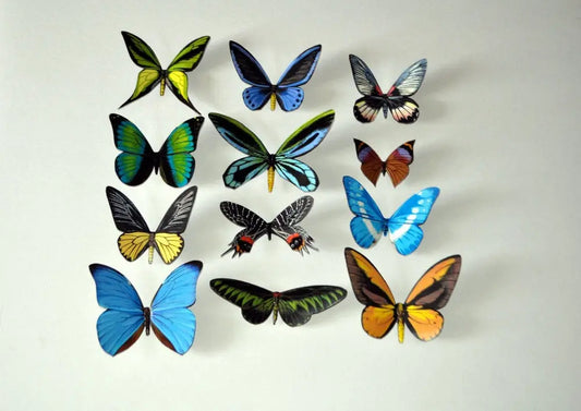 Butterfly Magnets DougWalpusArtStudio