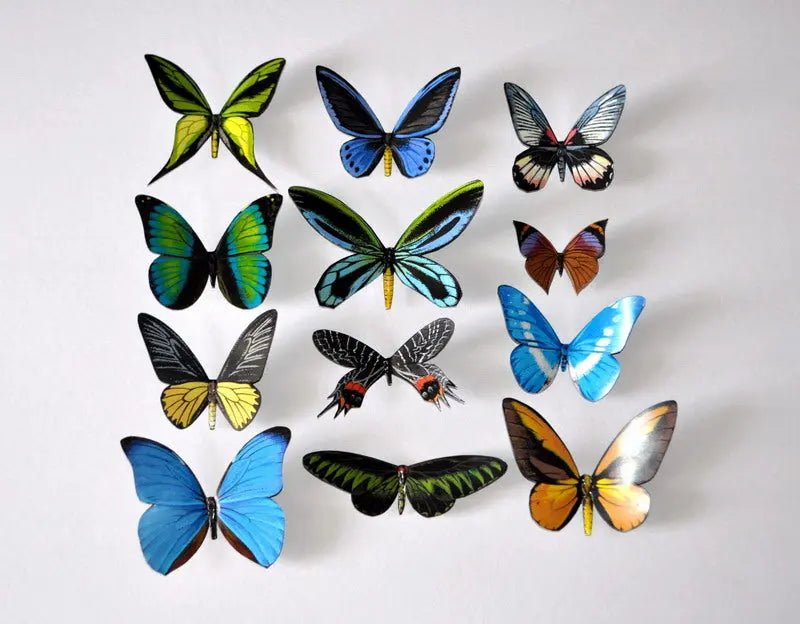 Butterfly Magnets DougWalpusArtStudio