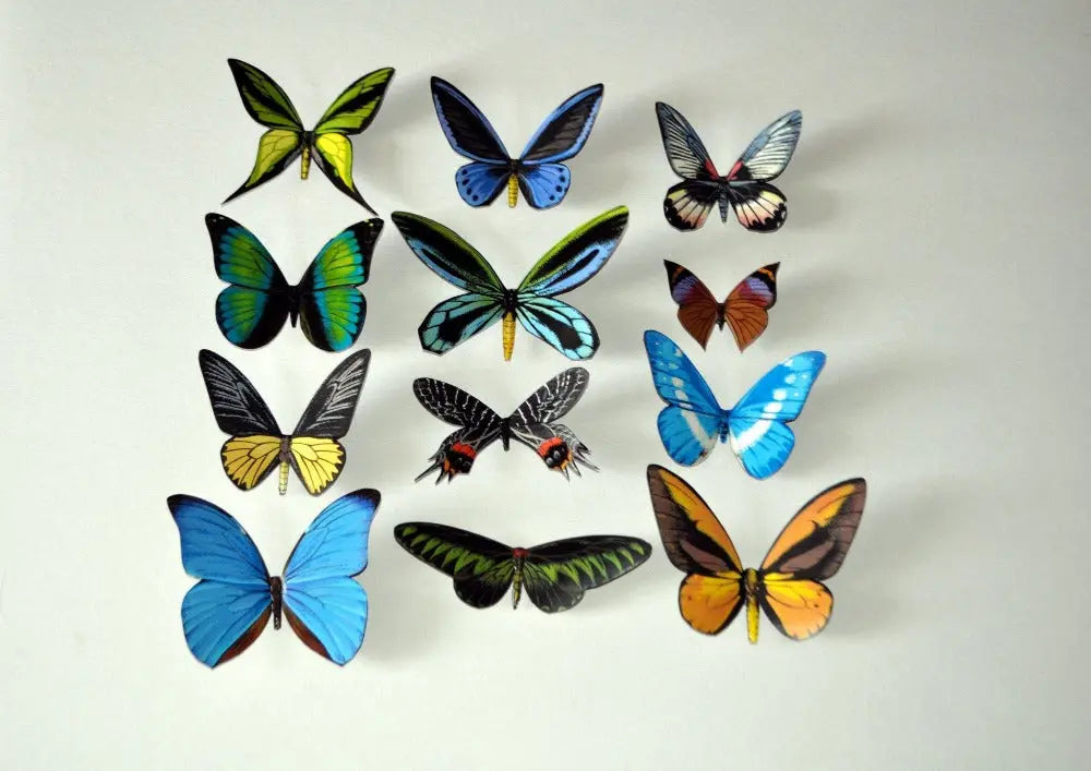 Butterfly Magnets DougWalpusArtStudio