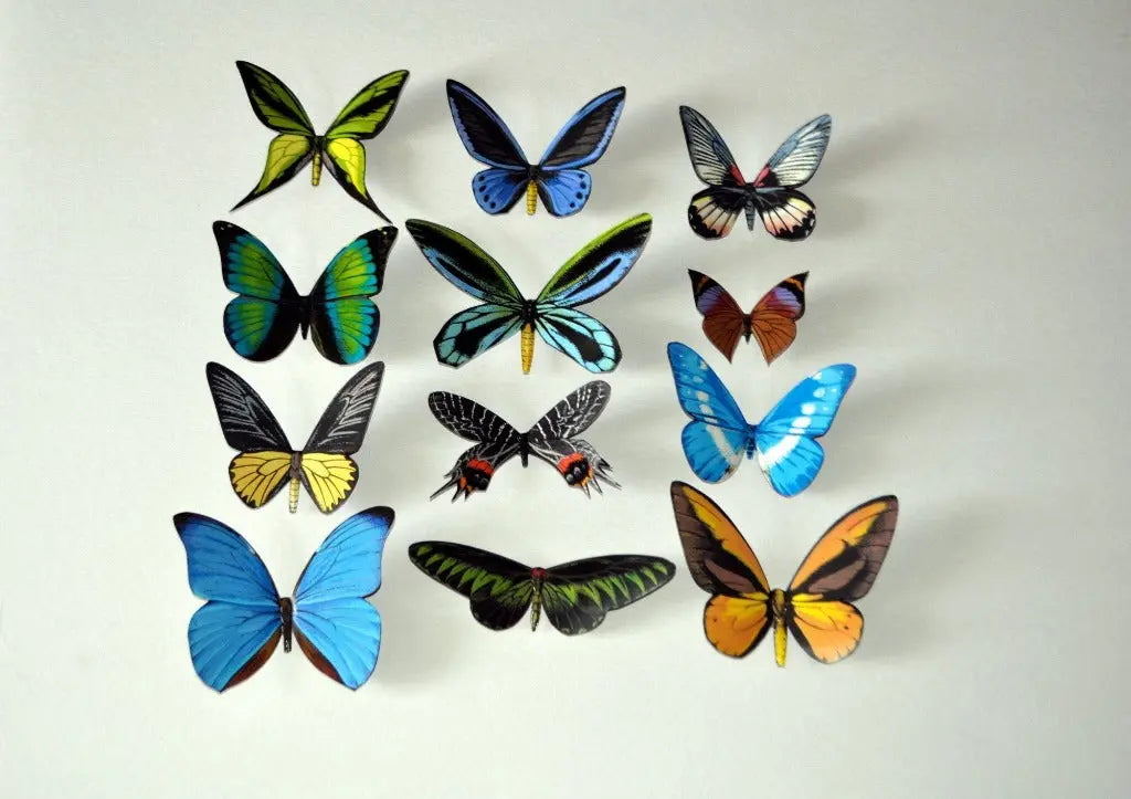 Butterfly Magnets DougWalpusArtStudio
