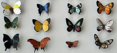 Butterfly Magnets DougWalpusArtStudio