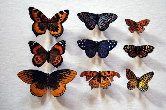 Butterfly Magnets DougWalpusArtStudio