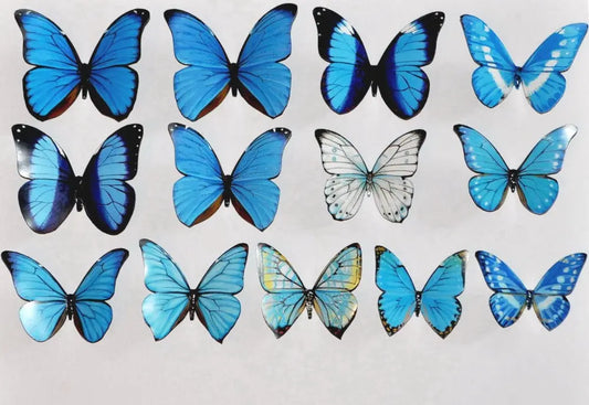 Butterfly Magnets DougWalpusArtStudio
