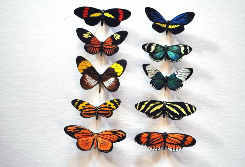 Butterfly Magnets DougWalpusArtStudio
