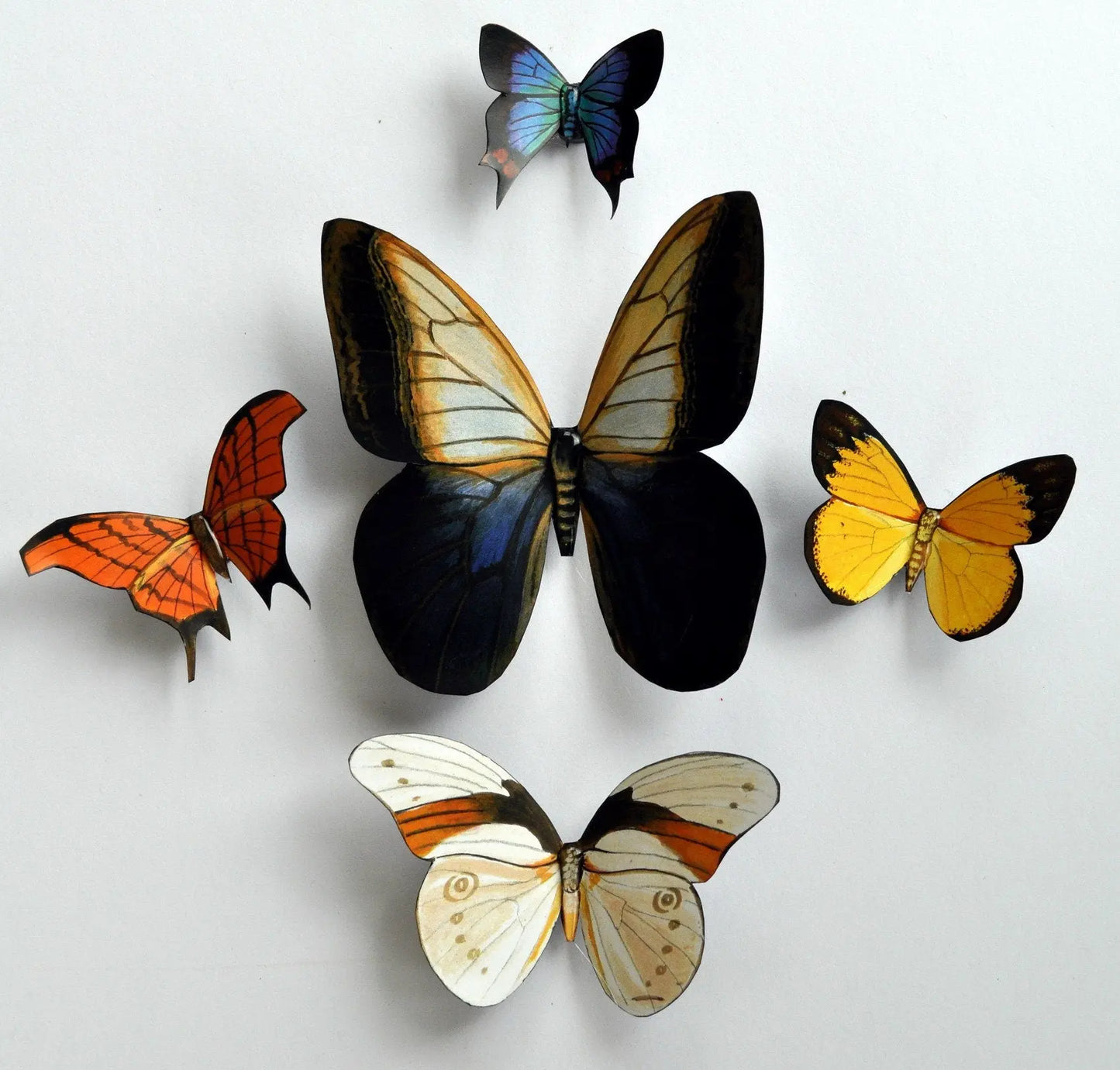 Butterfly Magnets DougWalpusArtStudio