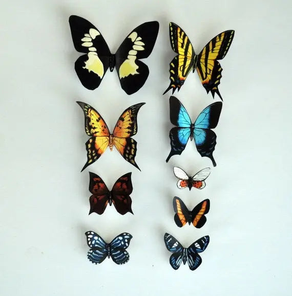 Butterfly Magnets set of 9 DougWalpusArtStudio