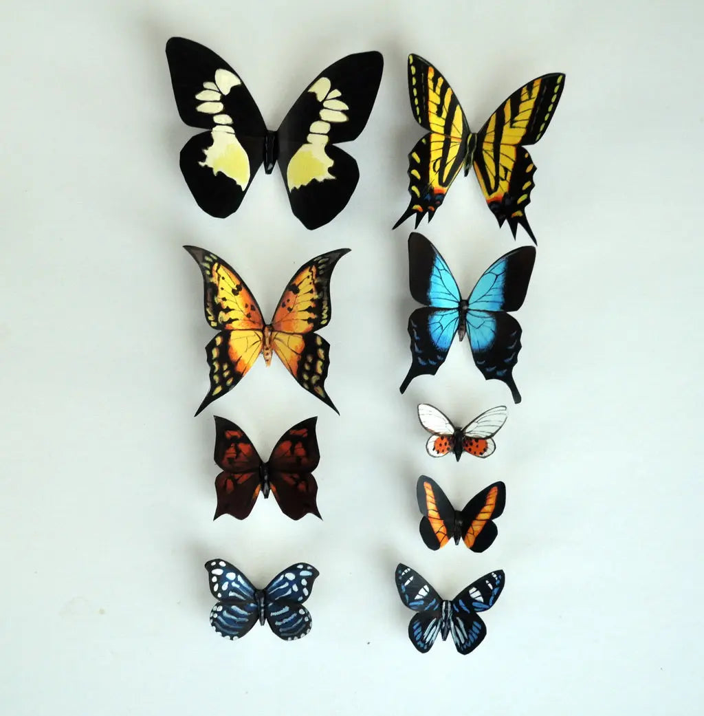 Butterfly Magnets set of 9, Refrigerator Magnets, Handmade DougWalpusArtStudio