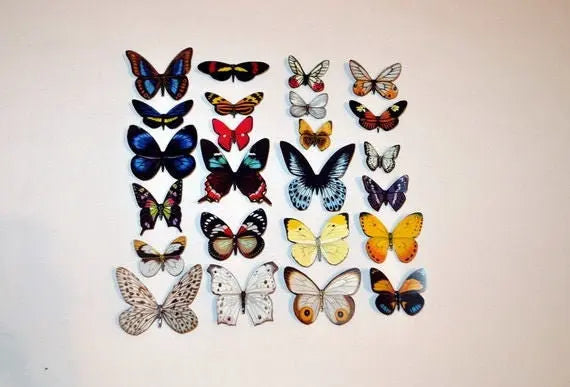 Butterfly Refrigerator Magnets set of 24 DougWalpusArtStudio