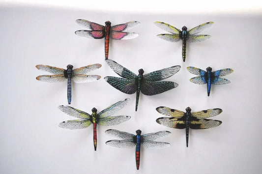 Dragonfly Magnets DougWalpusArtStudio