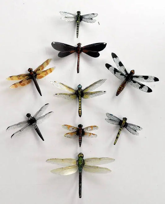 Dragonfly Magnets DougWalpusArtStudio