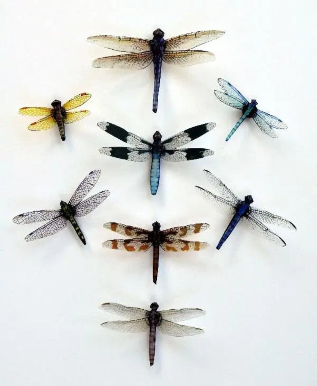 Dragonfly Magnets DougWalpusArtStudio