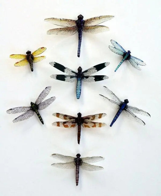 Dragonfly Magnets DougWalpusArtStudio
