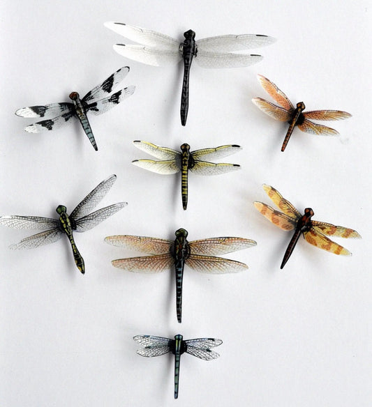 Dragonfly Magnets DougWalpusArtStudio