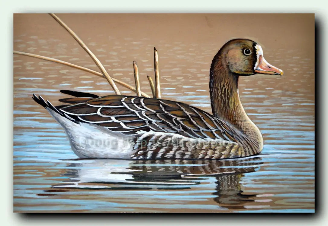 Greater white fronted goose art print DougWalpusArtStudio