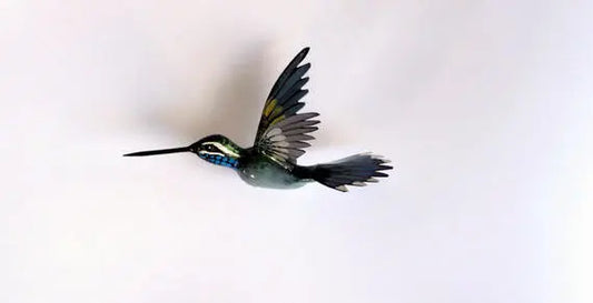 Hummingbird Magnet DougWalpusArtStudio