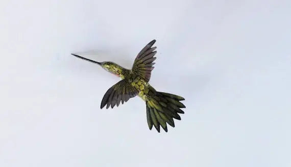 Hummingbird Magnet DougWalpusArtStudio