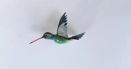 Hummingbird Magnet DougWalpusArtStudio