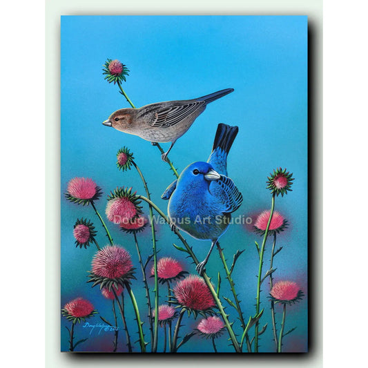 Indigo Bunting art print DougWalpusArtStudio