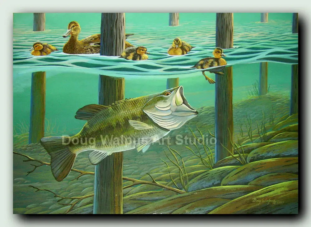 http://dougwalpusartstudio.com/cdn/shop/products/Largemouth-bass-fish-art-print-DougWalpusArtStudio-1668993351.jpg?v=1668993353