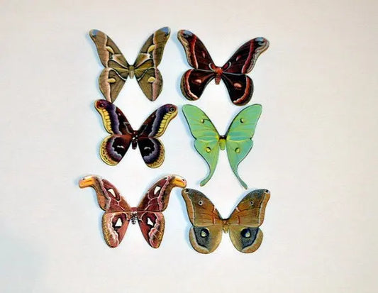 Moth Magnets DougWalpusArtStudio