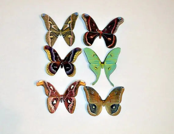 Moth Magnets DougWalpusArtStudio