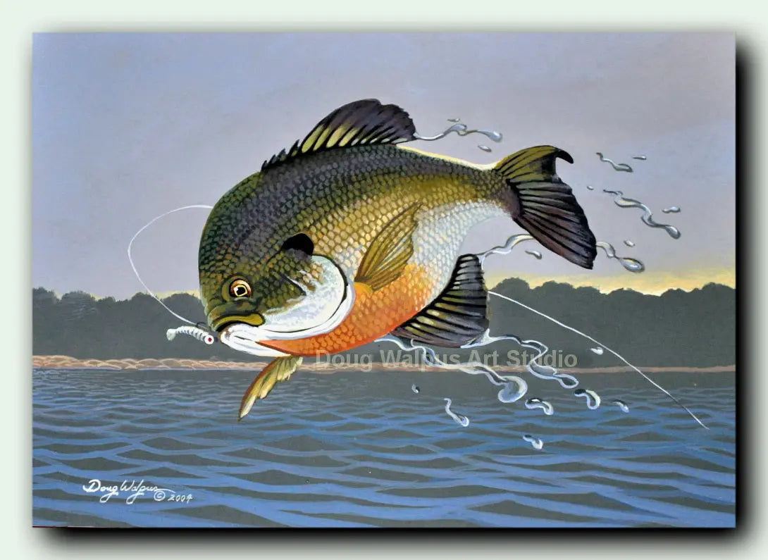 http://dougwalpusartstudio.com/cdn/shop/products/Original-Bluegill-Fish-Painting-DougWalpusArtStudio-1668993951.jpg?v=1668993953