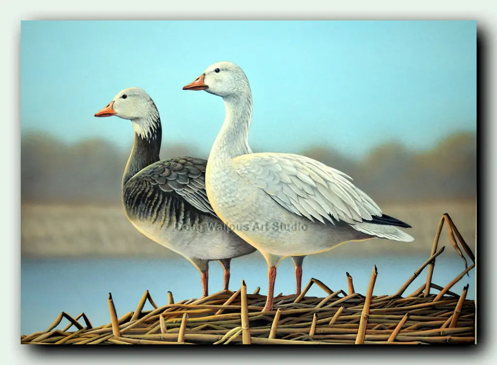 Original Goose Acrylic Painting DougWalpusArtStudio