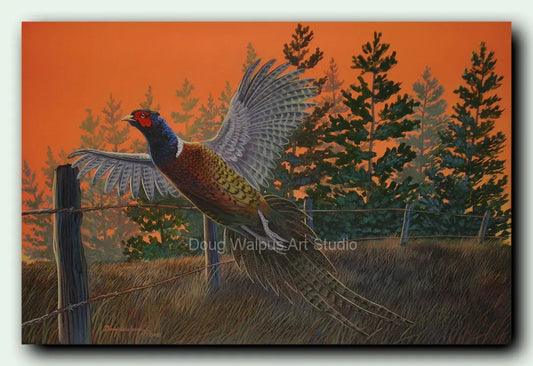 Pheasant game bird art print DougWalpusArtStudio