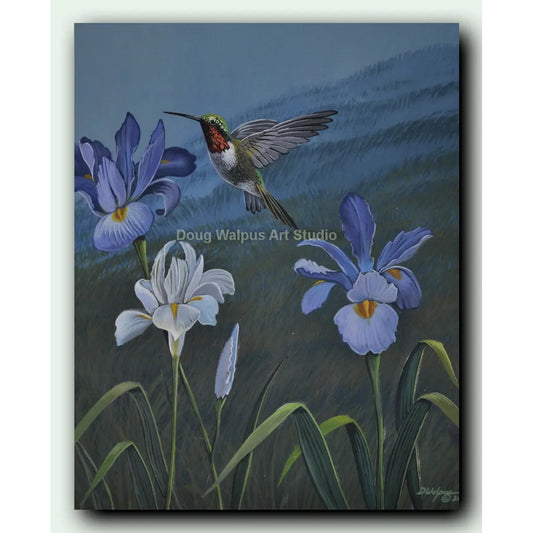 Ruby throated hummingbird art print DougWalpusArtStudio