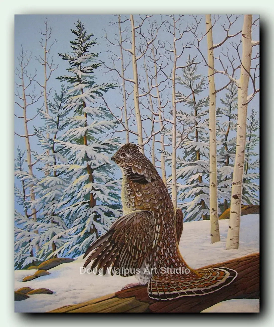 Ruffed Grouse upland game bird art print DougWalpusArtStudio