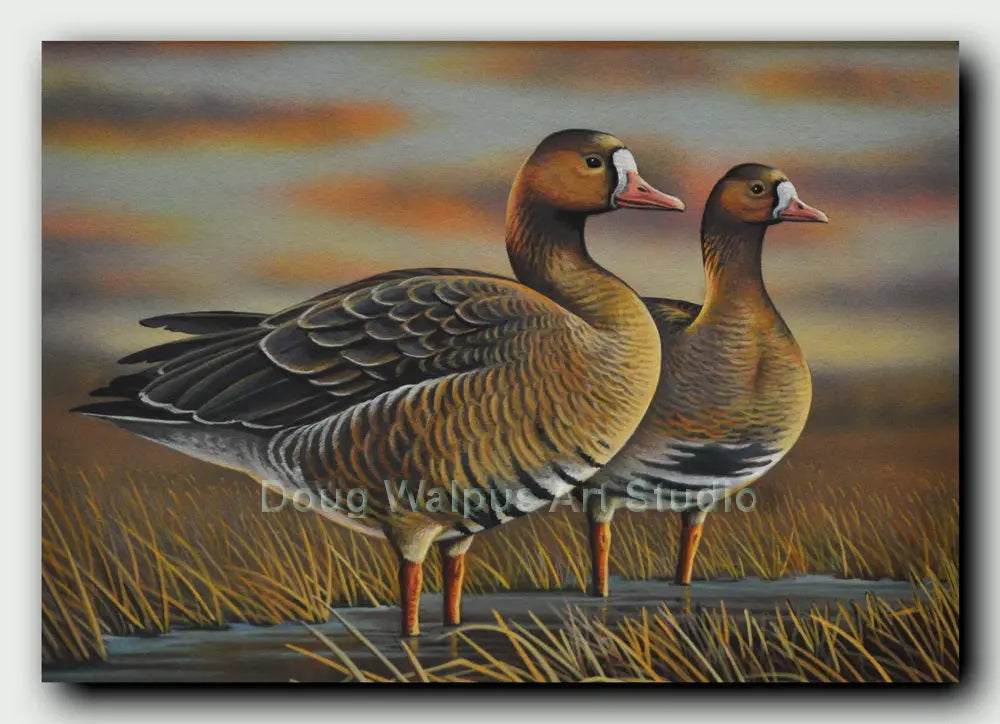 White Fronted Goose Original Painting DougWalpusArtStudio