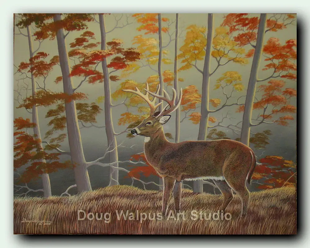 Whitetail Deer art print DougWalpusArtStudio