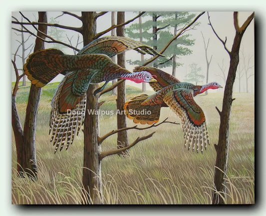 Wild Turkey Upland Game Bird Art Print DougWalpusArtStudio