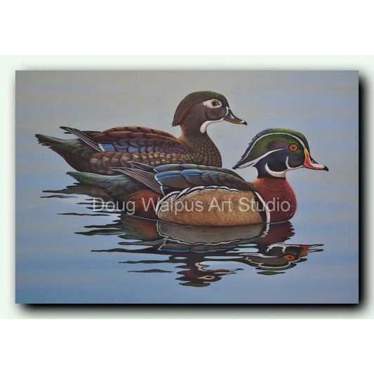 Wood Duck art print DougWalpusArtStudio