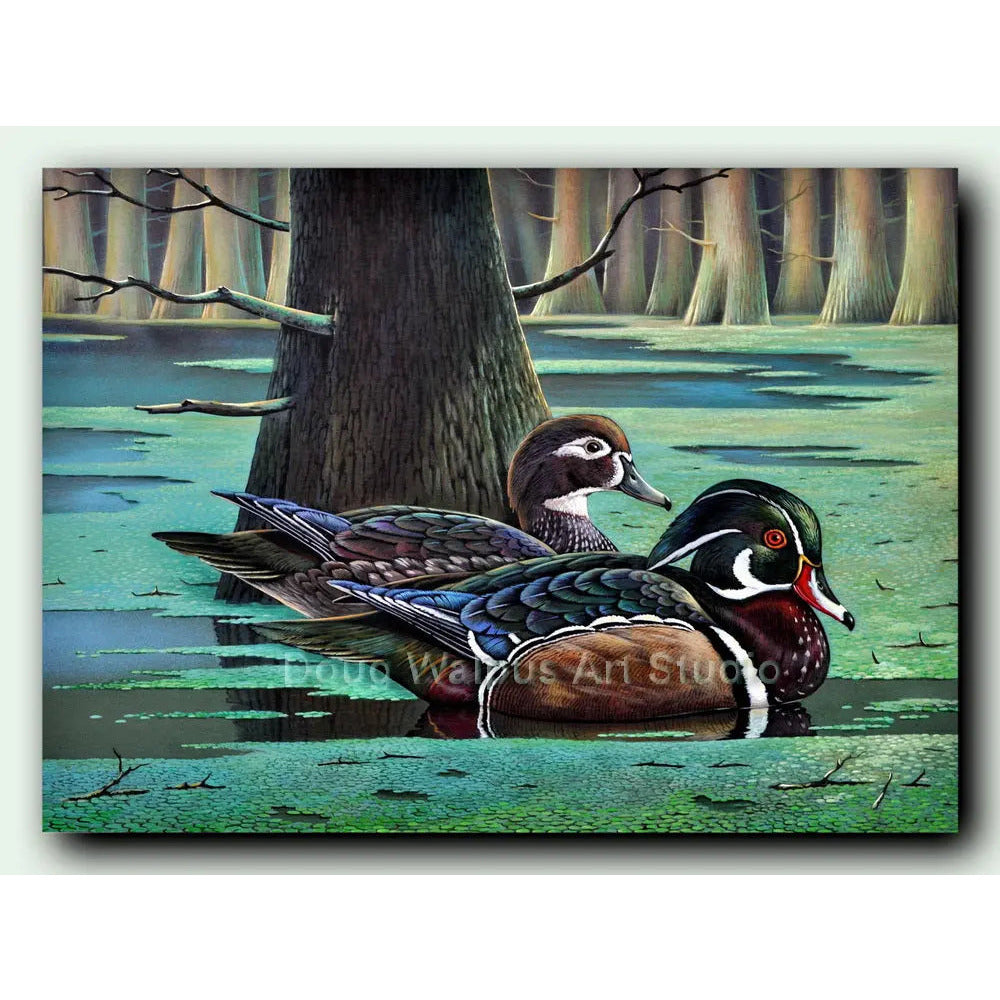 Wood Duck art print DougWalpusArtStudio