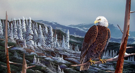Bald Eagle Acrylic Print titled " Rocky Top" DougWalpusArtStudio