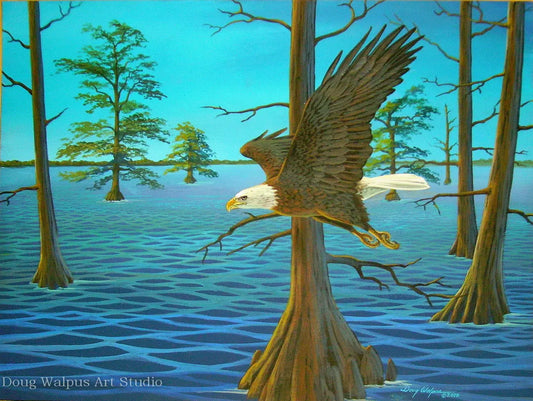 Bald Eagle art print titled "Reelfoot Bald Eagle" 11 x 14 Watercolor DougWalpusArtStudio