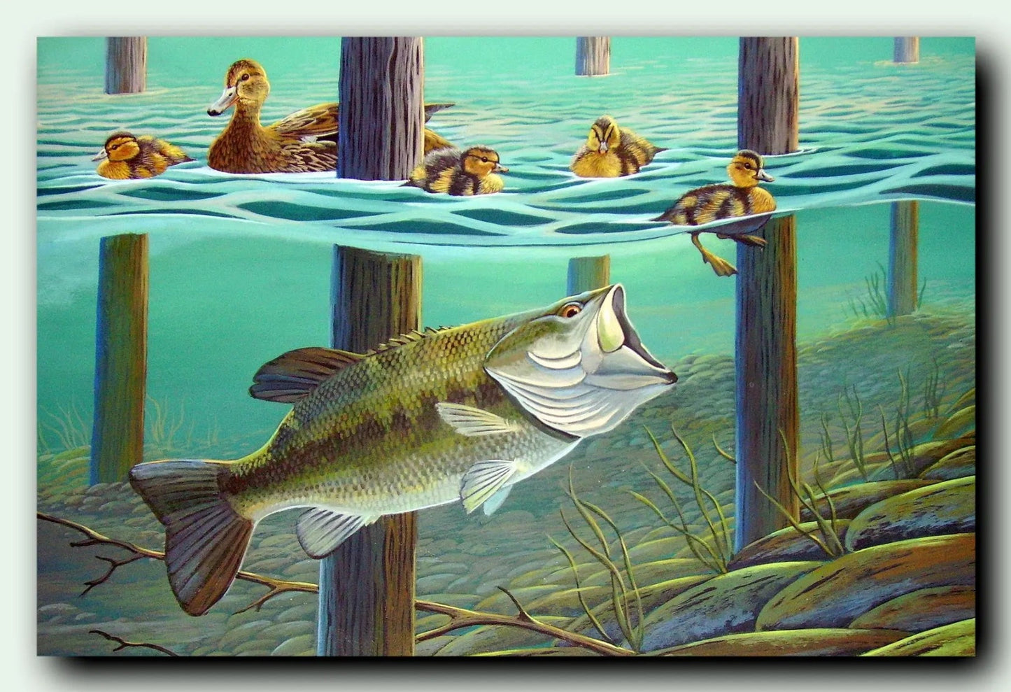 Largemouth bass fish print " Calm Before the Storm" DougWalpusArtStudio