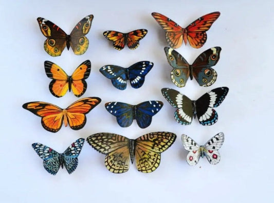 Refrigerator Magnets, Butterfly Magnets, Handmade, Fridge Magnets DougWalpusArtStudio