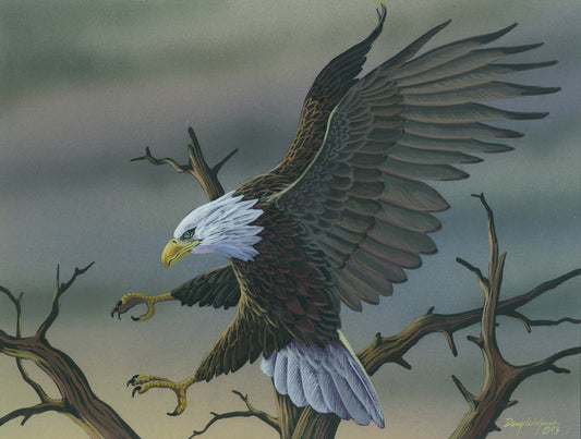 Original Bald Eagle titled "Stormy Landing"