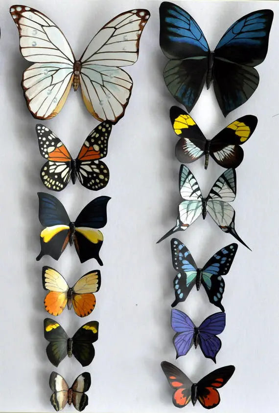 Butterfly Magnets DougWalpusArtStudio
