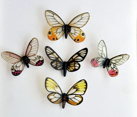 Butterfly Magnets DougWalpusArtStudio